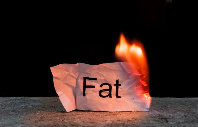 fat burning strategies