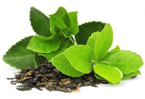 Green Tea is good for your health