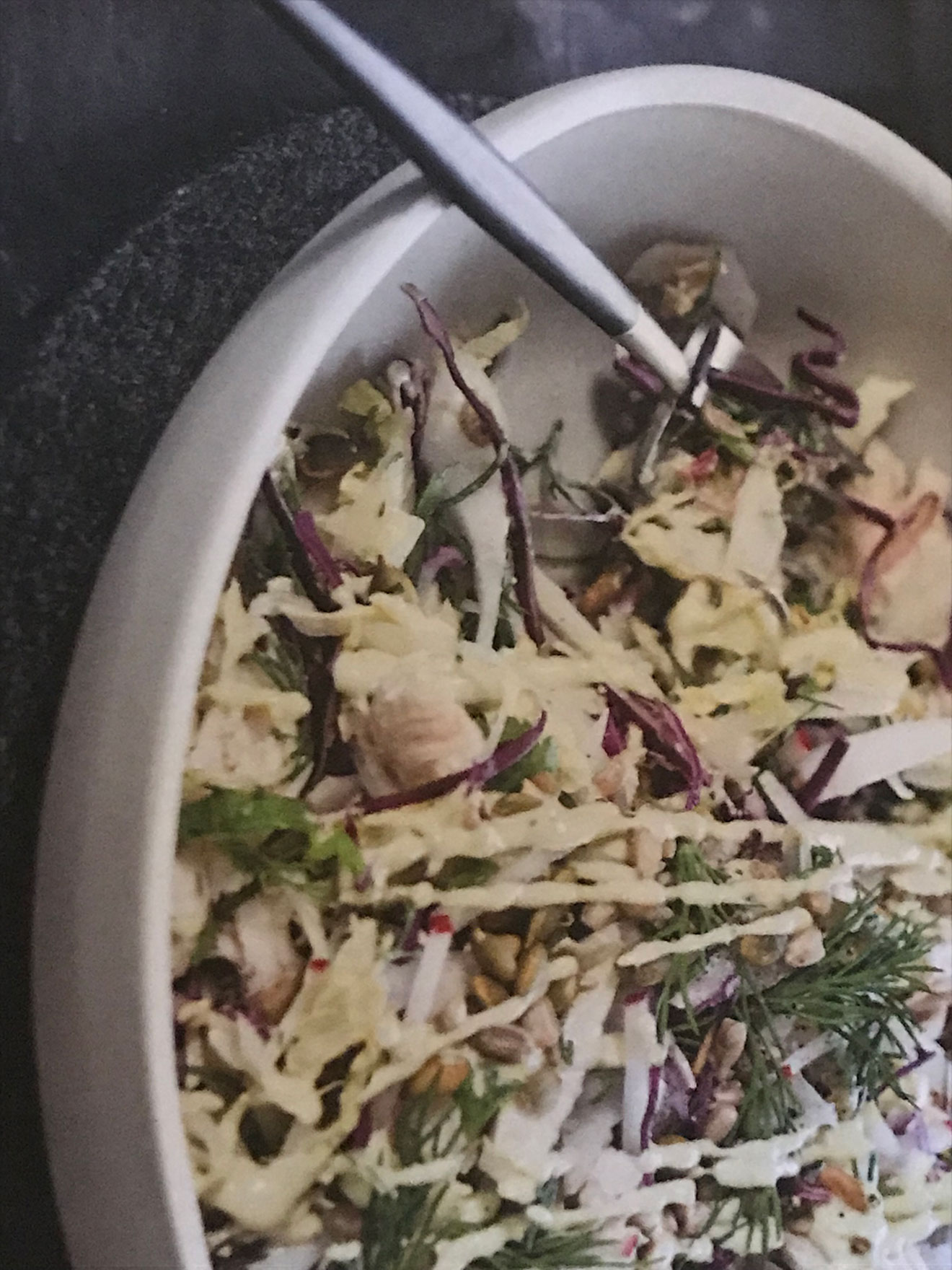 chicken and coleslaw recipe