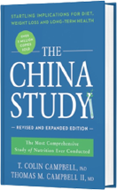 CHINA-STUDY eBook Thumbnail 
